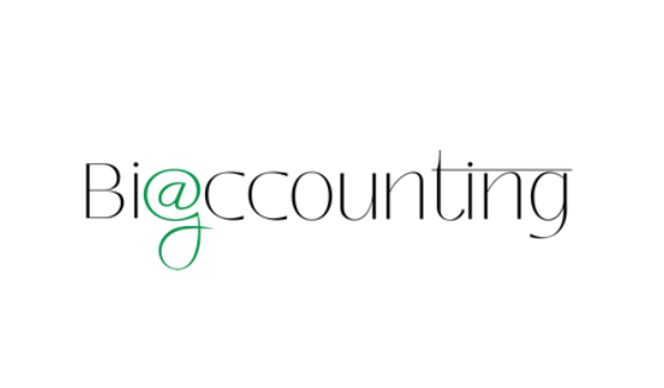 Bigaccounting Bookkeeping Services LLC